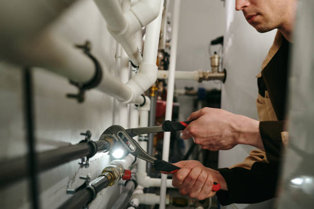 Best Plumbing Inspection Services  in Albertville, MN