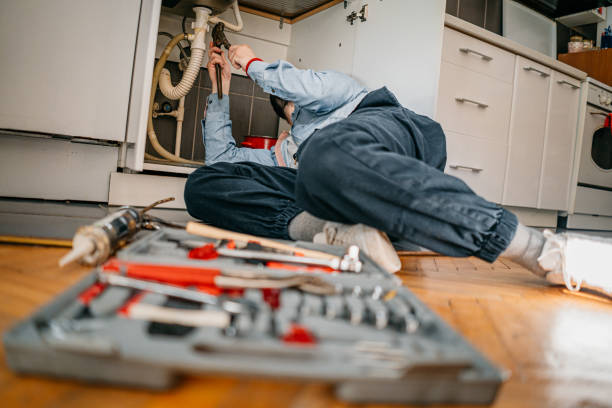 Best Sprinkler Systems  in Albertville, MN