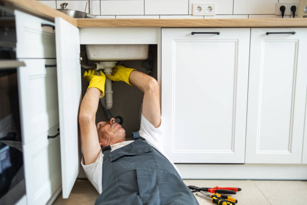 Best Local Plumber Services  in Albertville, MN